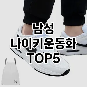 남성 나이키운동화 반응좋은 TOP5 구입방법