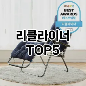 리클라이너 반응좋은 TOP5 요약정리