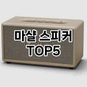 마샬 스피커 인기순 TOP5 총정리