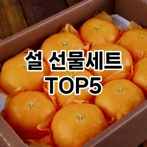 설 선물세트 가심비 TOP5 팩트 체크