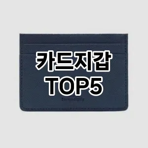 카드지갑 추천 TOP5 알아보기