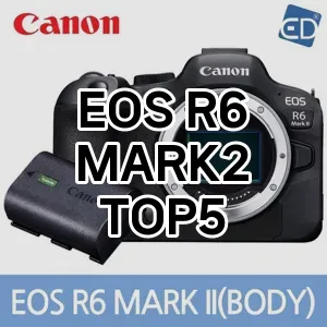 EOS R6 MARK2 가심비 TOP5 요약정리