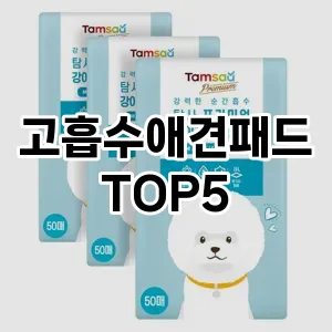 고흡수애견패드 요즘 핫한 TOP5 구입방법