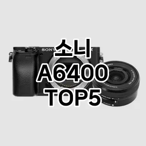 소니 A6400 반응좋은 TOP5 모아 봤어요