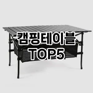 캠핑테이블 가심비 TOP5 요약정리