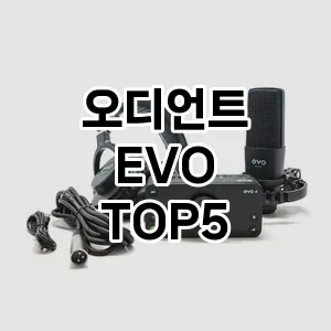 오디언트 EVO 검증된 TOP5 총정리
